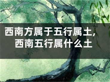 西南方属于五行属土,西南五行属什么土
