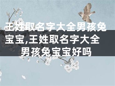 王姓取名字大全男孩兔宝宝,王姓取名字大全男孩兔宝宝好吗