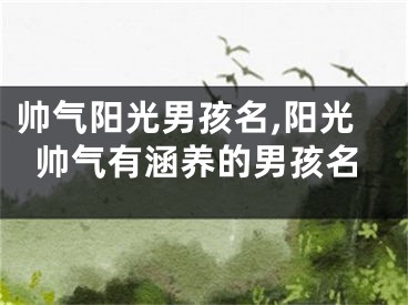 帅气阳光男孩名,阳光帅气有涵养的男孩名