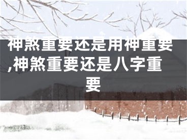 神煞重要还是用神重要,神煞重要还是八字重要