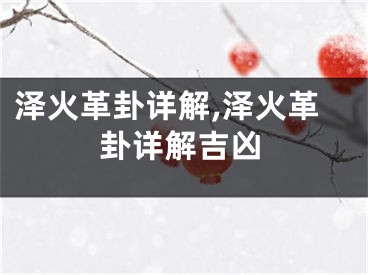 泽火革卦详解,泽火革卦详解吉凶