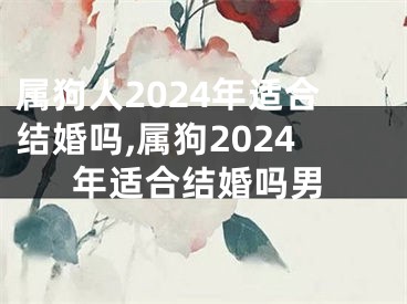 属狗人2024年适合结婚吗,属狗2024年适合结婚吗男