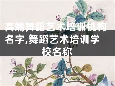 高端舞蹈艺术培训机构名字,舞蹈艺术培训学校名称