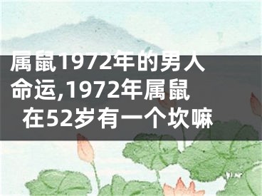 属鼠1972年的男人命运,1972年属鼠在52岁有一个坎嘛