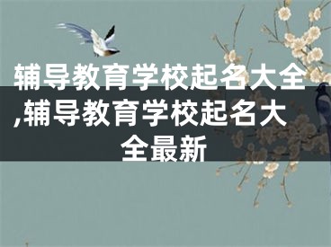 辅导教育学校起名大全,辅导教育学校起名大全最新