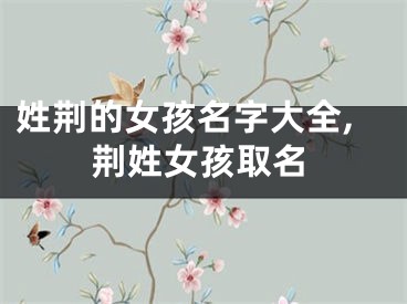 姓荆的女孩名字大全,荆姓女孩取名