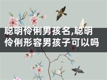 聪明伶俐男孩名,聪明伶俐形容男孩子可以吗