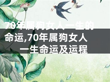 70年属狗女人一生的命运,70年属狗女人一生命运及运程