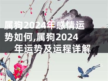 属狗2024年感情运势如何,属狗2024年运势及运程详解