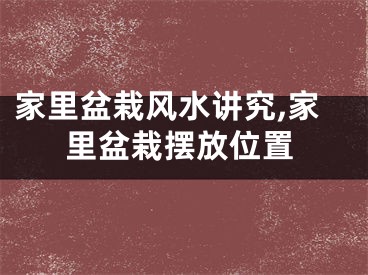 家里盆栽风水讲究,家里盆栽摆放位置
