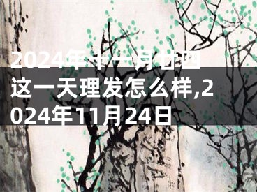 2024年十一月廿四这一天理发怎么样,2024年11月24日