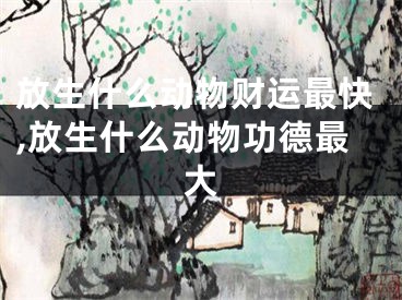放生什么动物财运最快,放生什么动物功德最大