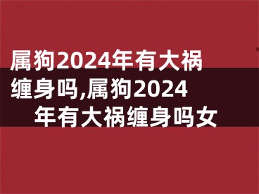 属狗2024年有大祸缠身吗,属狗2024年有大祸缠身吗女