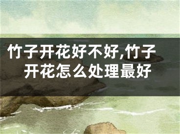 竹子开花好不好,竹子开花怎么处理最好