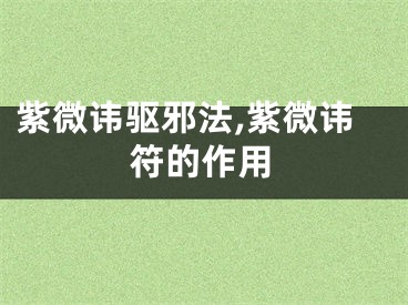 紫微讳驱邪法,紫微讳符的作用
