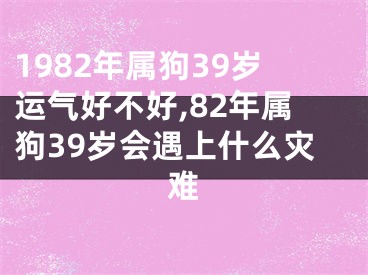 1982年属狗39岁运气好不好,82年属狗39岁会遇上什么灾难