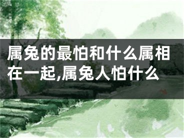 属兔的最怕和什么属相在一起,属兔人怕什么