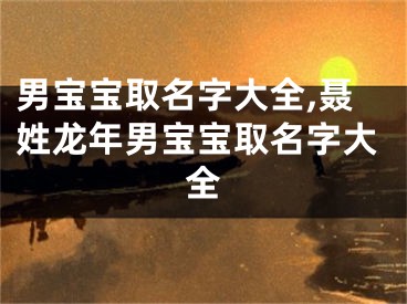 男宝宝取名字大全,聂姓龙年男宝宝取名字大全