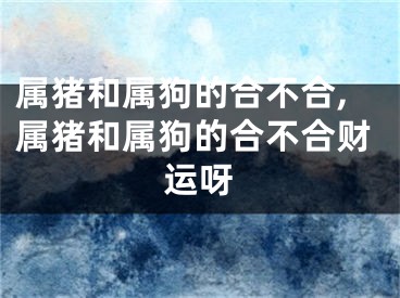 属猪和属狗的合不合,属猪和属狗的合不合财运呀