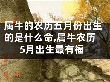 属牛的农历五月份出生的是什么命,属牛农历5月出生最有福