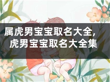 属虎男宝宝取名大全,虎男宝宝取名大全集