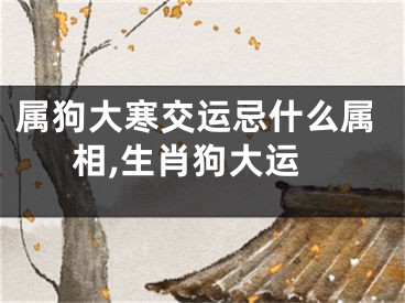 属狗大寒交运忌什么属相,生肖狗大运