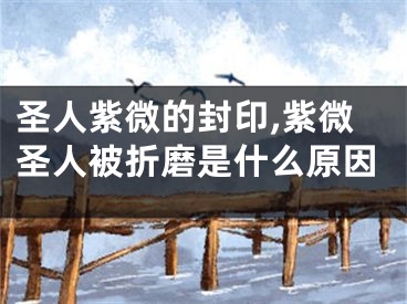 圣人紫微的封印,紫微圣人被折磨是什么原因