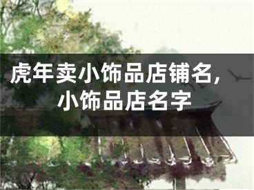 虎年卖小饰品店铺名,小饰品店名字