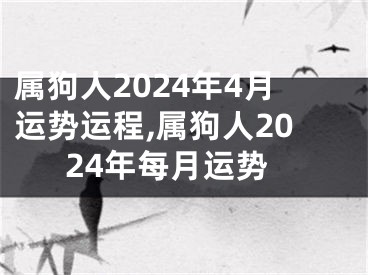 属狗人2024年4月运势运程,属狗人2024年每月运势
