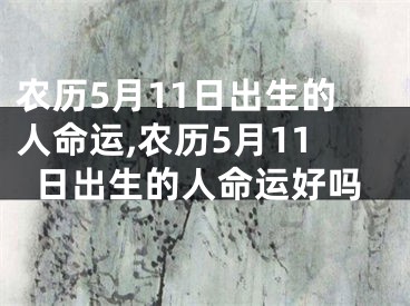 农历5月11日出生的人命运,农历5月11日出生的人命运好吗