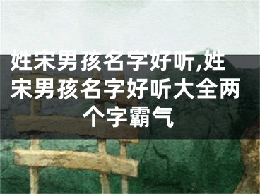 姓宋男孩名字好听,姓宋男孩名字好听大全两个字霸气