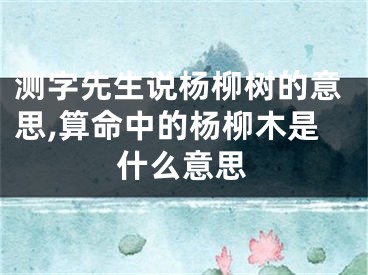 测字先生说杨柳树的意思,算命中的杨柳木是什么意思