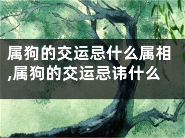属狗的交运忌什么属相,属狗的交运忌讳什么