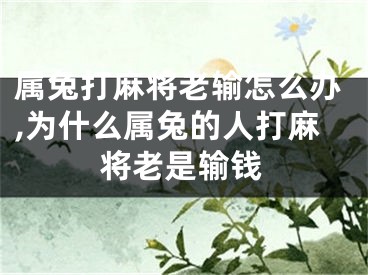 属兔打麻将老输怎么办,为什么属兔的人打麻将老是输钱
