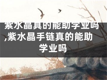 紫水晶真的能助学业吗,紫水晶手链真的能助学业吗