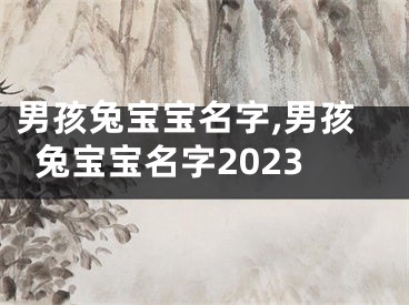 男孩兔宝宝名字,男孩兔宝宝名字2023