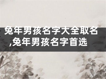 兔年男孩名字大全取名,兔年男孩名字首选