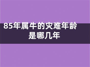 85年属牛的灾难年龄是哪几年