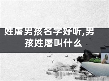 姓屠男孩名字好听,男孩姓屠叫什么