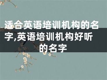 适合英语培训机构的名字,英语培训机构好听的名字