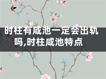 时柱有咸池一定会出轨吗,时柱咸池特点