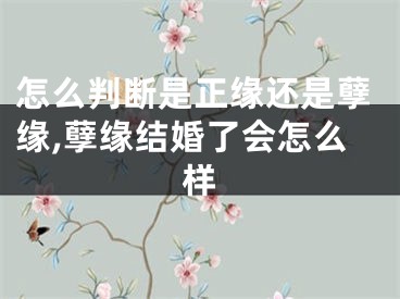 怎么判断是正缘还是孽缘,孽缘结婚了会怎么样
