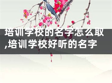 培训学校的名字怎么取,培训学校好听的名字