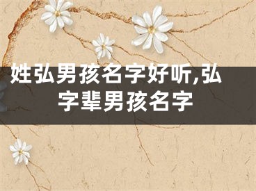 姓弘男孩名字好听,弘字辈男孩名字