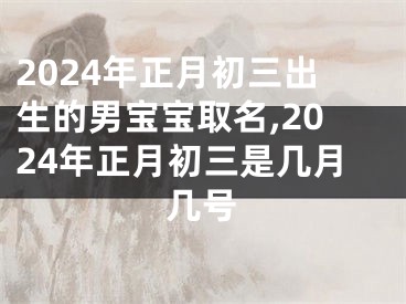 2024年正月初三出生的男宝宝取名,2024年正月初三是几月几号