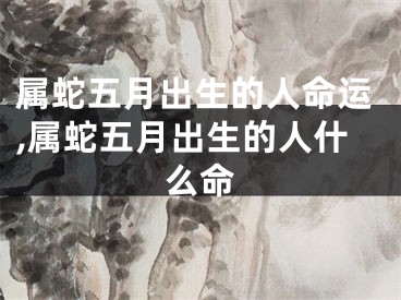 属蛇五月出生的人命运,属蛇五月出生的人什么命