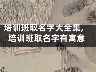 培训班取名字大全集,培训班取名字有寓意