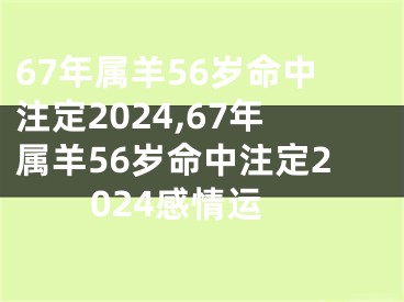 67年属羊56岁命中注定2024,67年属羊56岁命中注定2024感情运