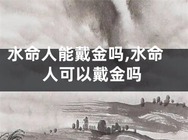 水命人能戴金吗,水命人可以戴金吗