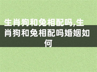 生肖狗和兔相配吗,生肖狗和兔相配吗婚姻如何